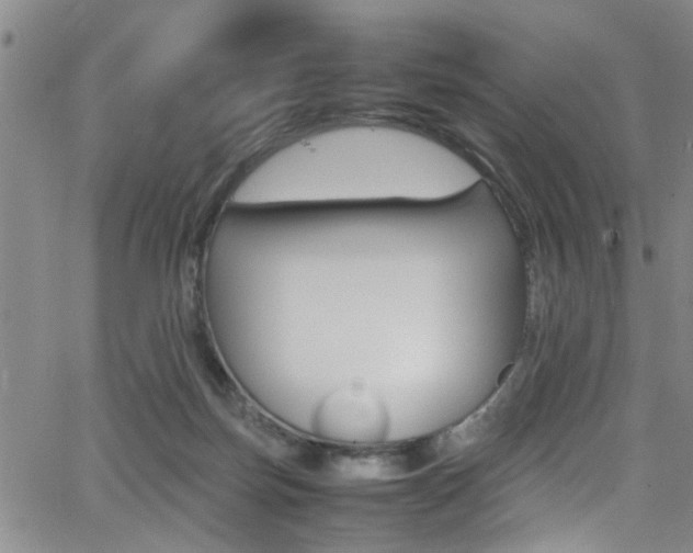 X0000065980171200603030939