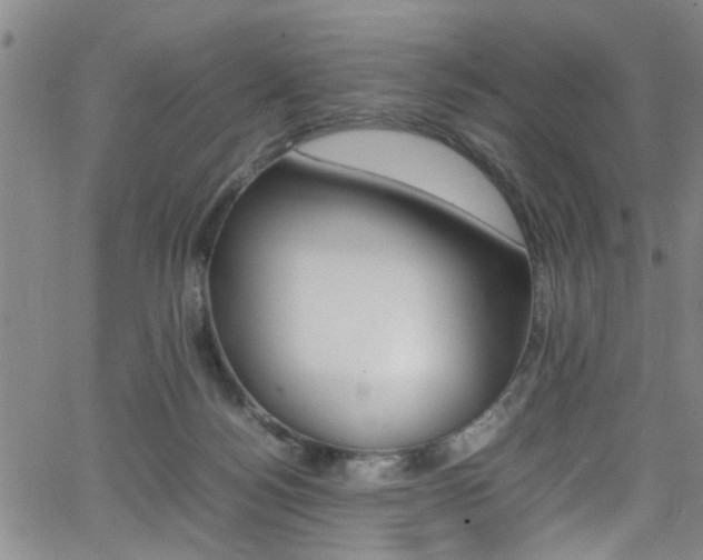 X0000065980172200603030939