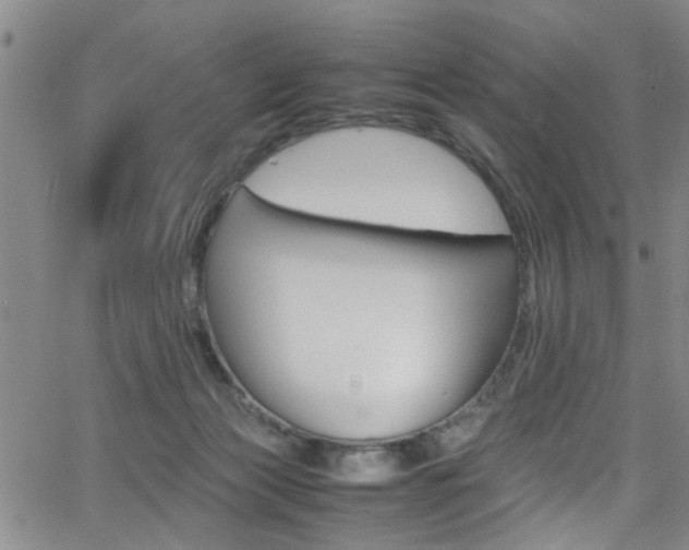 X0000065980173200603030939