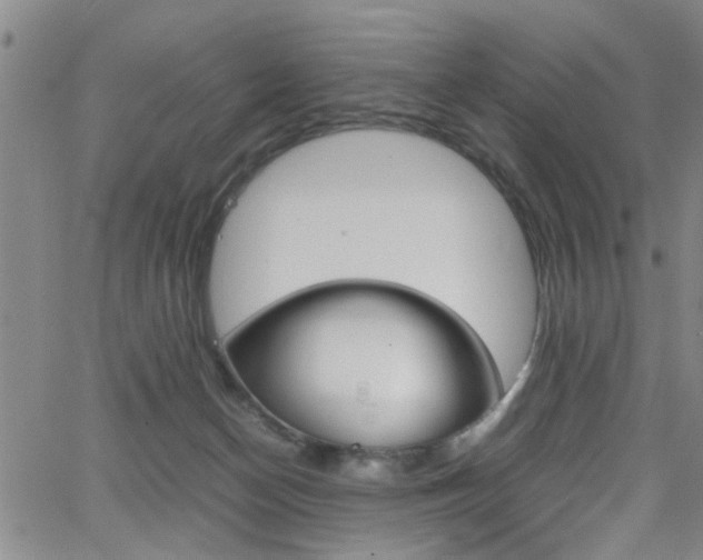 X0000065980174200603030939