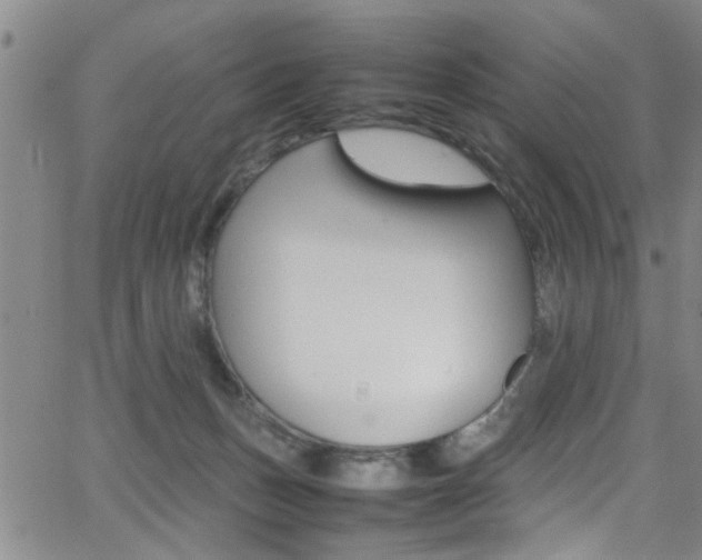 X0000065980175200603030939