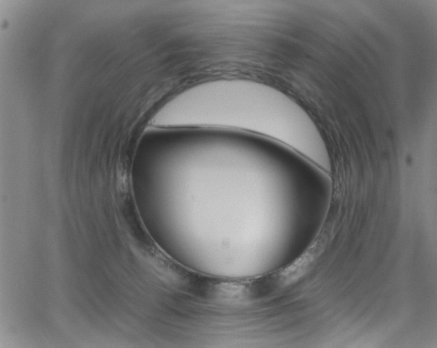 X0000065980176200603030939