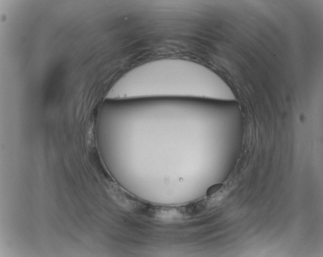 X0000065980177200603030939