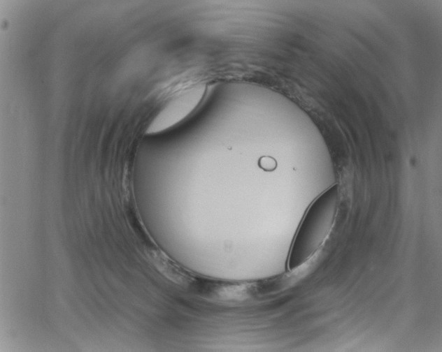 X0000065980178200603030939