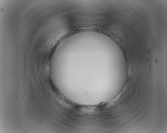 X0000065980179200603030939