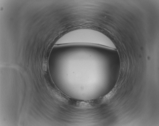 X0000065980180200603030939