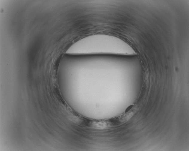 X0000065980181200603030939