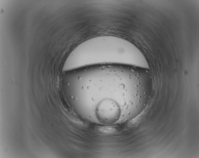 X0000065980183200603030939