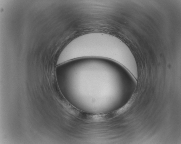 X0000065980184200603030939