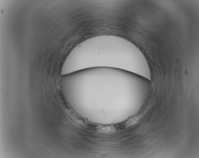 X0000065980185200603030939