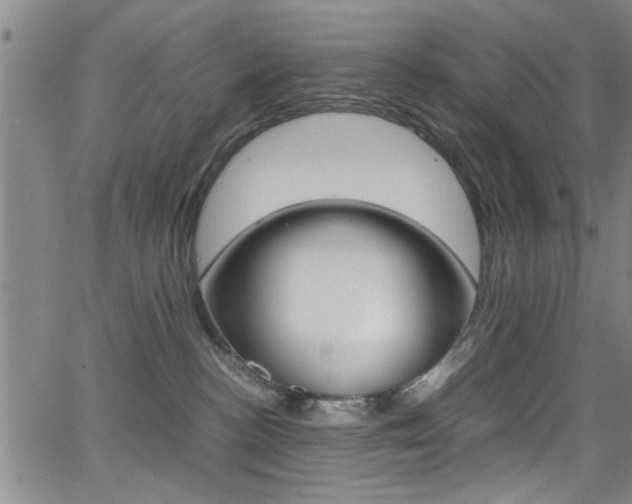 X0000065980188200603030939