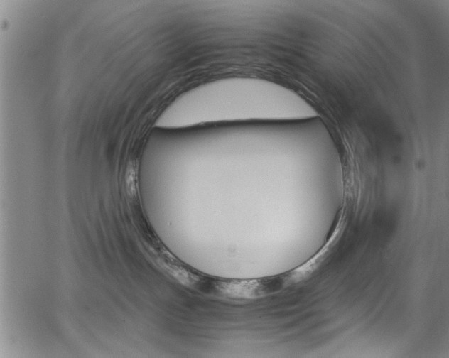 X0000065980191200603030939