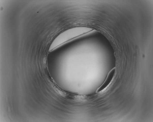 X0000065980192200603030939