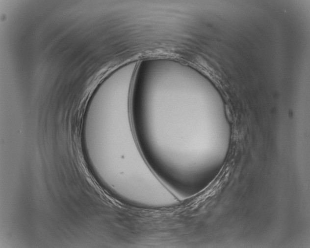 X0000065980193200603030939