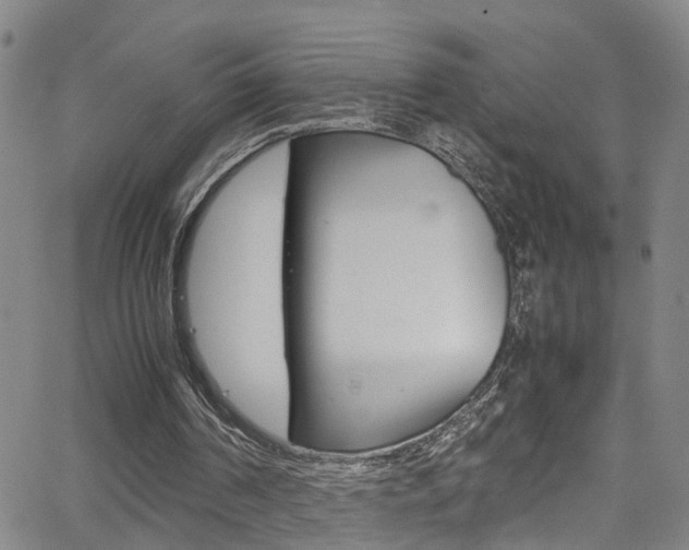 X0000065980194200603030938