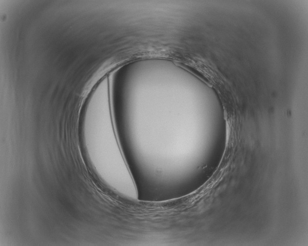 X0000065980195200603030938