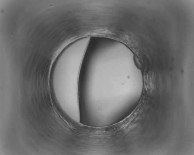 X0000065980196200603030938