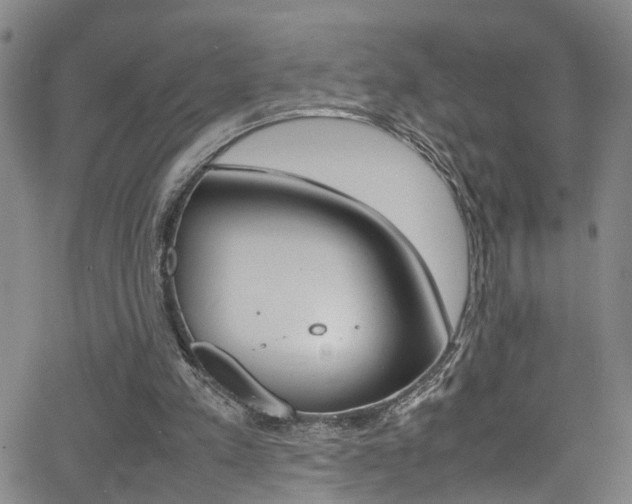 X0000065980197200603030938