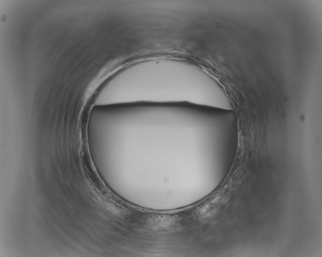 X0000065980198200603030938