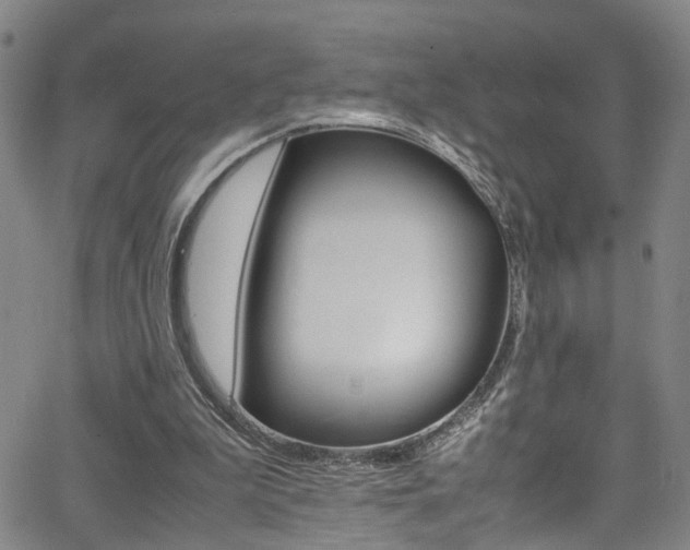 X0000065980199200603030938