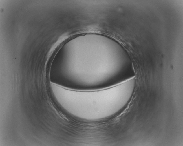 X0000065980200200603030938