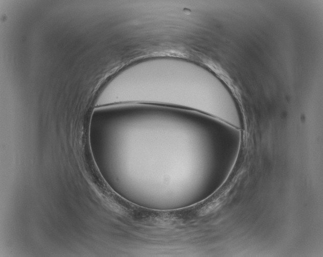 X0000065980201200603030938