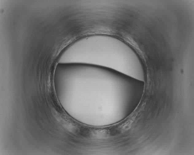 X0000065980202200603030938