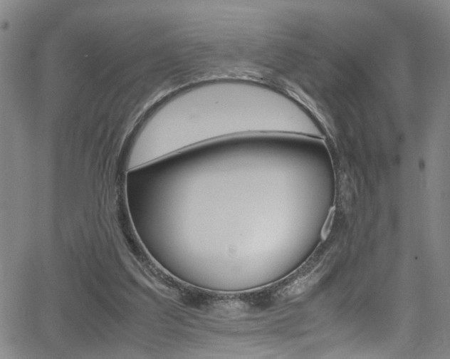 X0000065980203200603030938