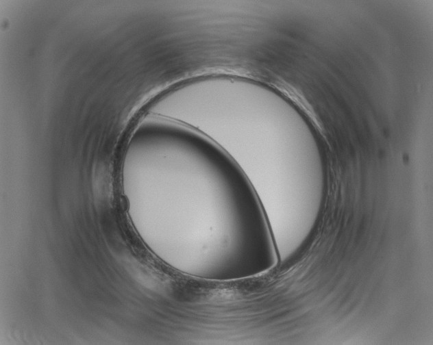 X0000065980204200603030938