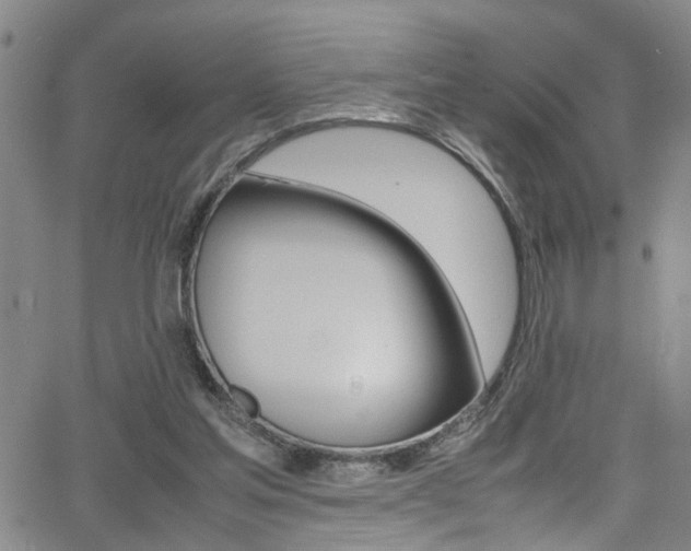 X0000065980205200603030938