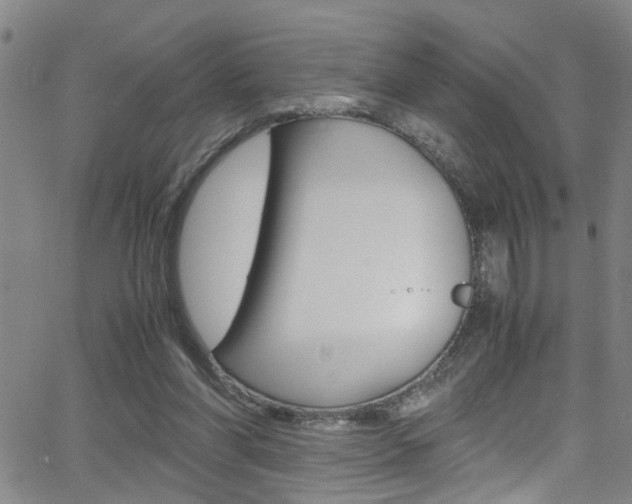 X0000065980206200603030938