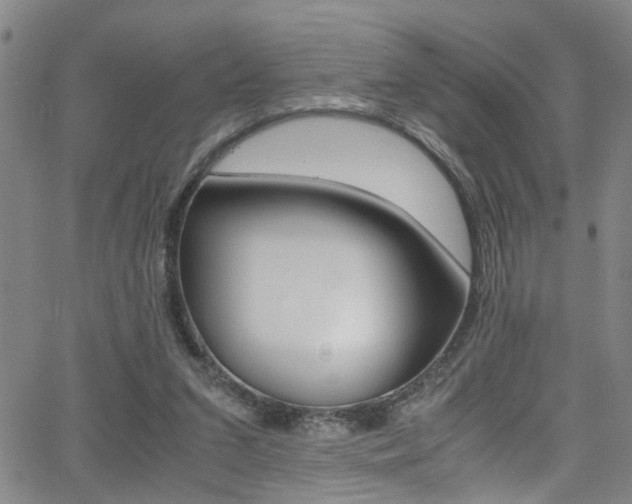 X0000065980207200603030938