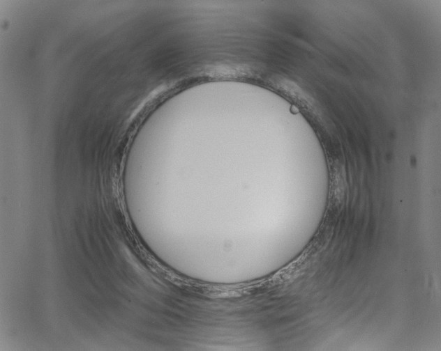 X0000065980208200603030938