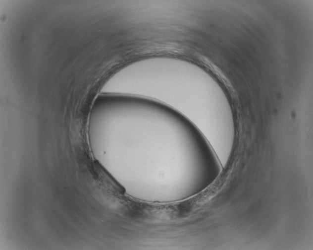 X0000065980209200603030938