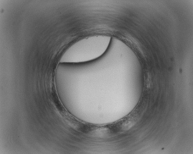 X0000065980210200603030938