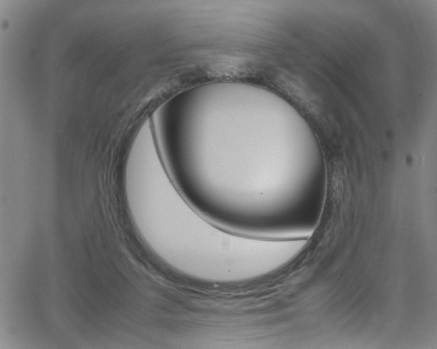 X0000065980211200603030938