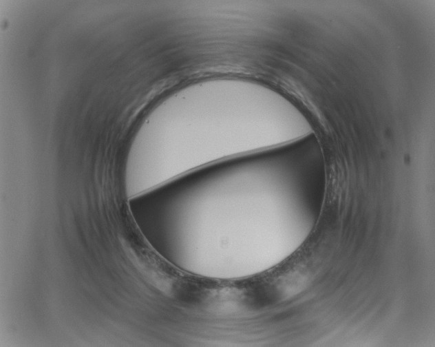 X0000065980212200603030938