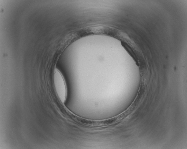 X0000065980213200603030938