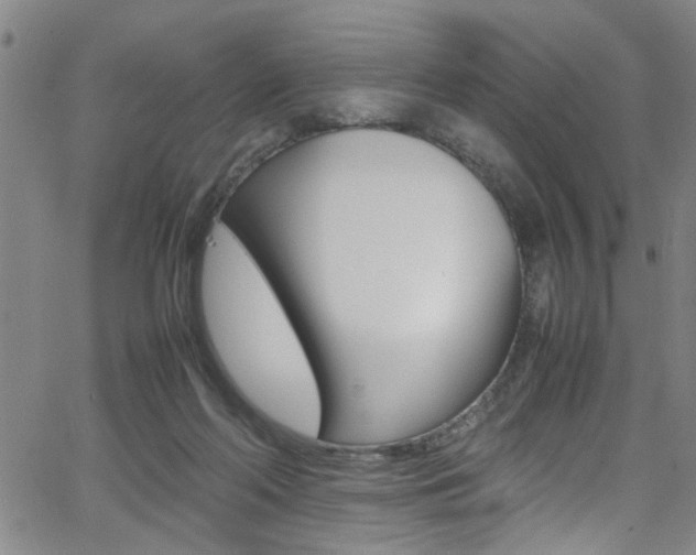 X0000065980214200603030938