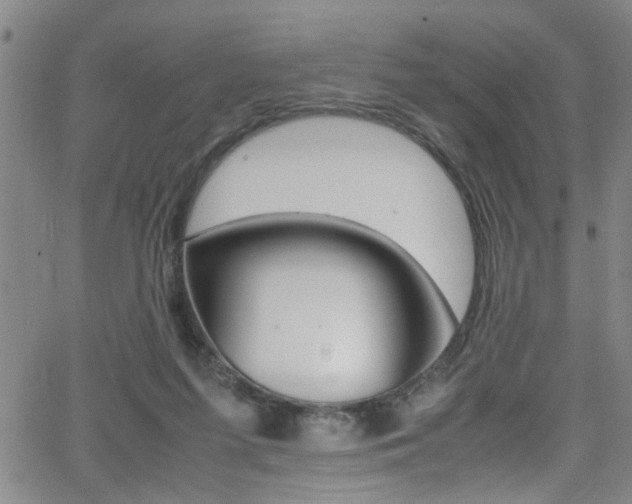 X0000065980215200603030938