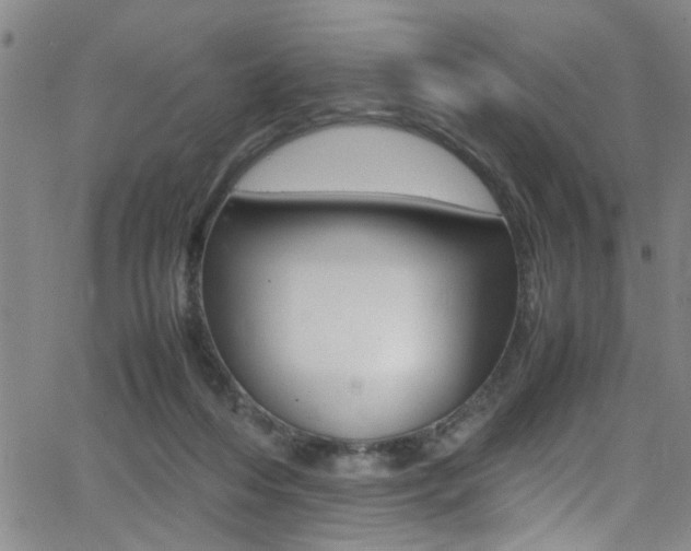 X0000065980216200603030938