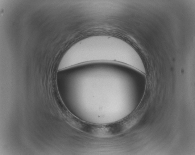 X0000065980217200603030938