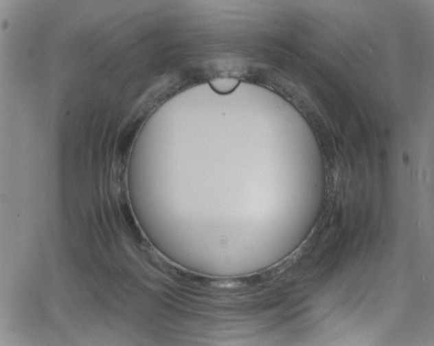 X0000065980218200603030938