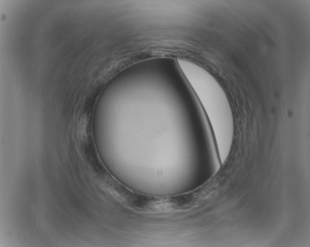 X0000065980219200603030938