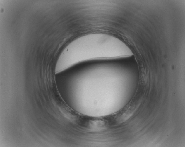 X0000065980220200603030938