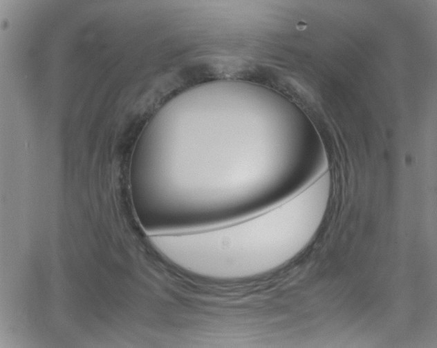 X0000065980221200603030938