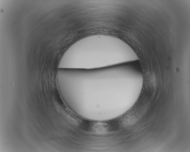 X0000065980222200603030938