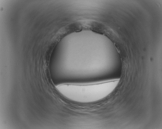 X0000065980223200603030938