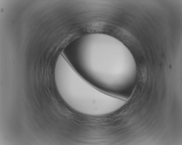 X0000065980224200603030938