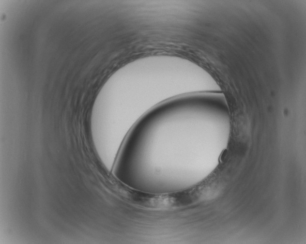 X0000065980225200603030938